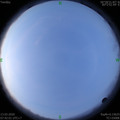 1584060119.jpg