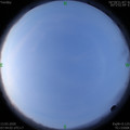 1584060239.jpg