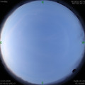 1584060299.jpg