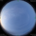 1584061590.jpg