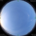 1584062760.jpg