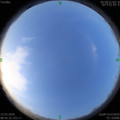 1584063931.jpg