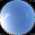 1584064321.jpg