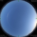 1584098783.jpg