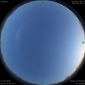 1584099233.jpg