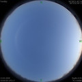 1584101049.jpg