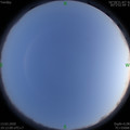 1584101529.jpg