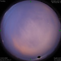 1584142506.jpg