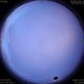 1584143242.jpg