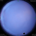 1584143407.jpg