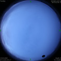1584144787.jpg