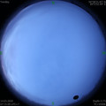 1584144907.jpg