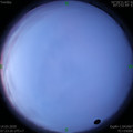 1584145403.jpg