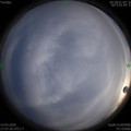 1584183446.jpg