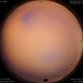 1584229443.jpg