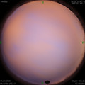 1584229684.jpg