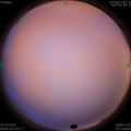 1584229834.jpg