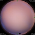 1584229894.jpg