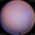 1584230029.jpg