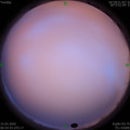 1584230089.jpg