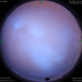 1584230314.jpg