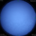 1584276446.jpg