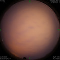 1584315120.jpg
