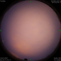 1584315360.jpg