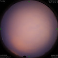 1584315420.jpg
