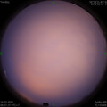 1584315480.jpg