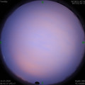 1584315780.jpg