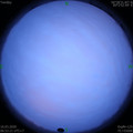 1584316351.jpg