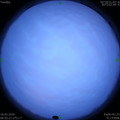 1584316516.jpg