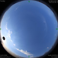 1584325325.jpg
