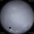 1584333895.jpg