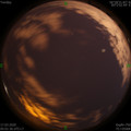 1584396116.jpg