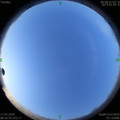 1584409367.jpg