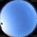 1584410913.jpg