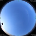 1584411694.jpg