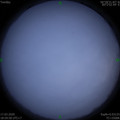 1584446390.jpg