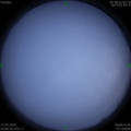 1584446781.jpg