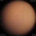 1584451883.jpg