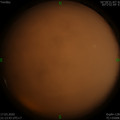 1584454419.jpg