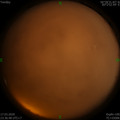 1584463003.jpg