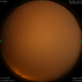 1584464324.jpg