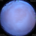 1584489206.jpg