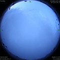 1584490242.jpg