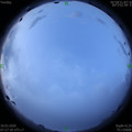 1584491217.jpg