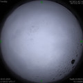 1584525884.jpg