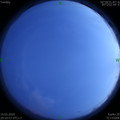 1584623446.jpg
